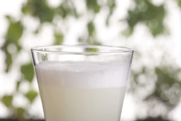 Pisco Sour La Lucila (Créditos: Gisella Benavides, PROMPERU)